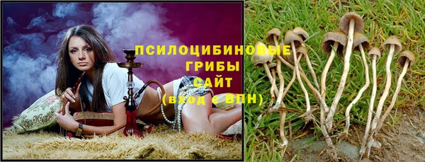 спиды Зеленодольск