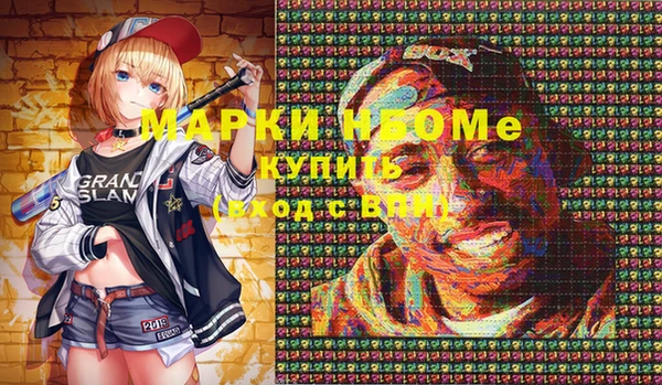 индика Зерноград