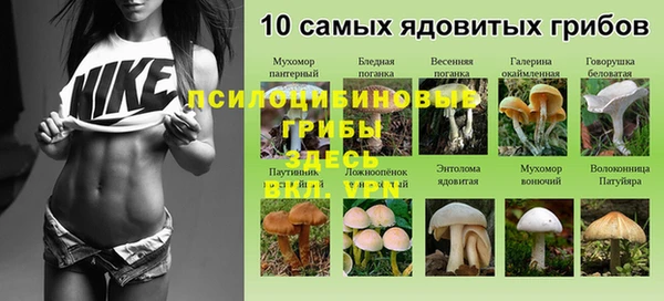 мдма Заволжск