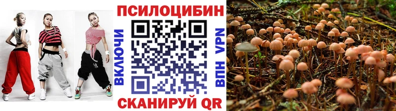 что такое наркотик  Кемь  Галлюциногенные грибы Psilocybine cubensis 
